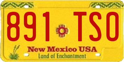 NM license plate 891TSO