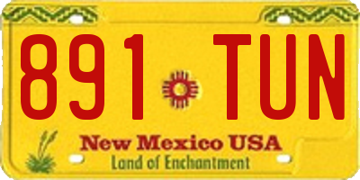 NM license plate 891TUN