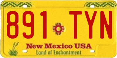 NM license plate 891TYN
