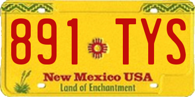 NM license plate 891TYS