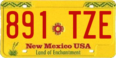 NM license plate 891TZE