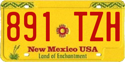 NM license plate 891TZH
