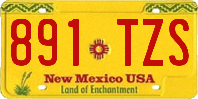 NM license plate 891TZS