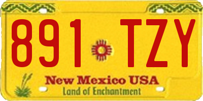 NM license plate 891TZY