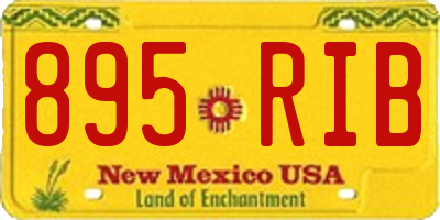 NM license plate 895RIB