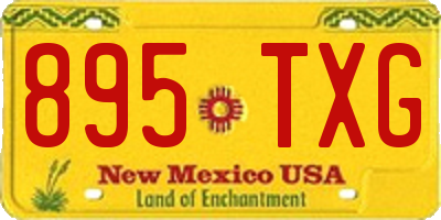 NM license plate 895TXG