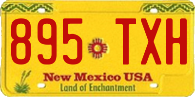 NM license plate 895TXH