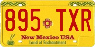 NM license plate 895TXR