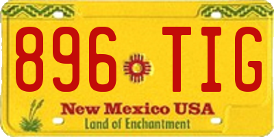 NM license plate 896TIG