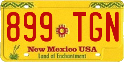 NM license plate 899TGN