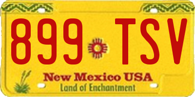 NM license plate 899TSV