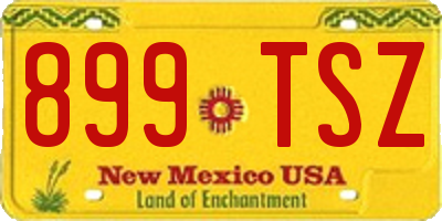 NM license plate 899TSZ
