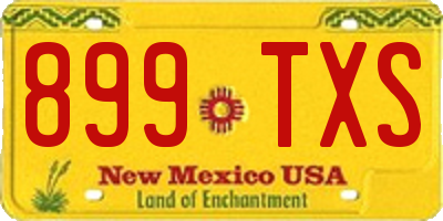 NM license plate 899TXS