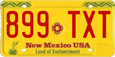 NM license plate 899TXT