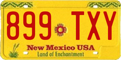 NM license plate 899TXY