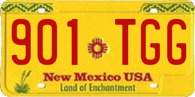 NM license plate 901TGG