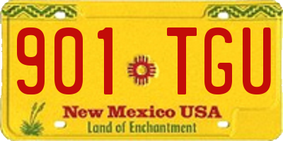 NM license plate 901TGU