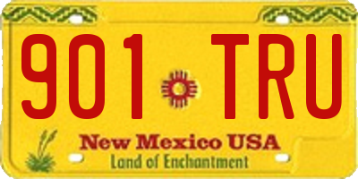 NM license plate 901TRU