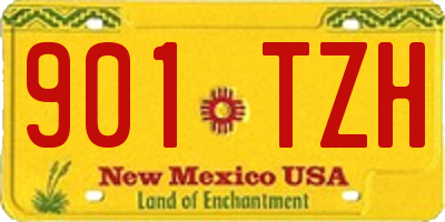 NM license plate 901TZH