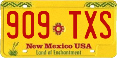 NM license plate 909TXS