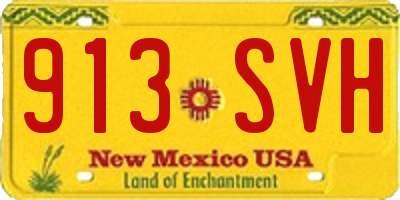 NM license plate 913SVH