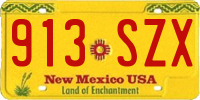 NM license plate 913SZX