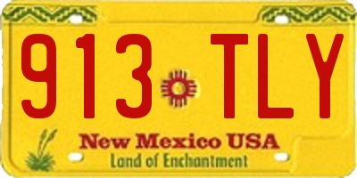 NM license plate 913TLY