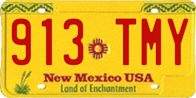 NM license plate 913TMY
