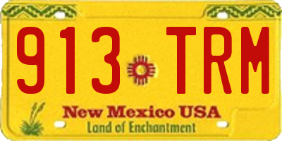 NM license plate 913TRM