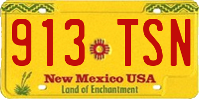 NM license plate 913TSN