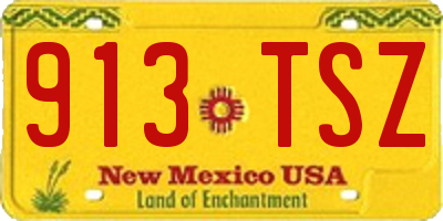 NM license plate 913TSZ