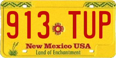 NM license plate 913TUP