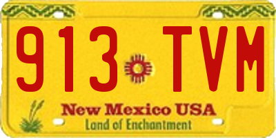 NM license plate 913TVM