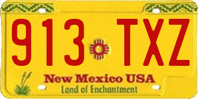 NM license plate 913TXZ