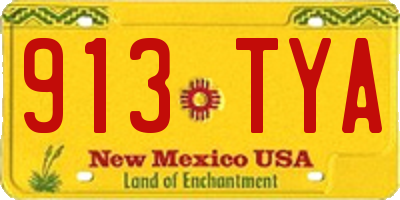 NM license plate 913TYA