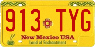 NM license plate 913TYG