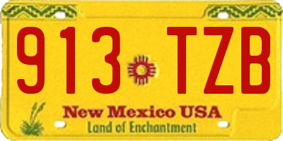 NM license plate 913TZB