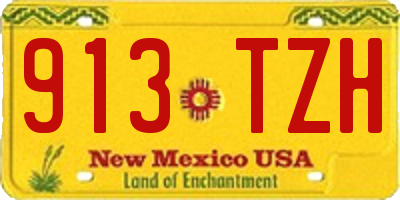 NM license plate 913TZH