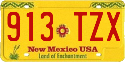 NM license plate 913TZX