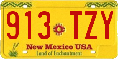 NM license plate 913TZY