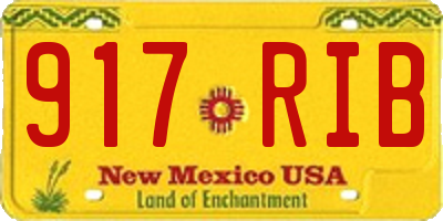 NM license plate 917RIB