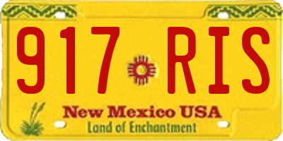 NM license plate 917RIS