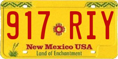 NM license plate 917RIY