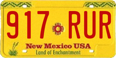 NM license plate 917RUR
