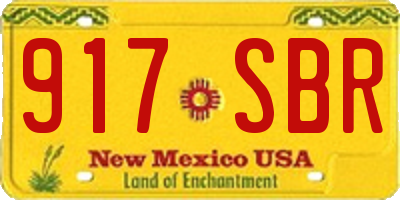NM license plate 917SBR