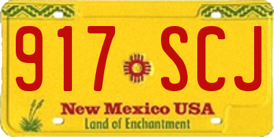 NM license plate 917SCJ