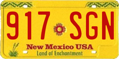 NM license plate 917SGN