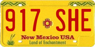 NM license plate 917SHE