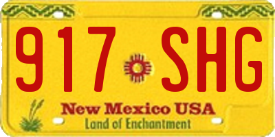 NM license plate 917SHG