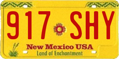 NM license plate 917SHY